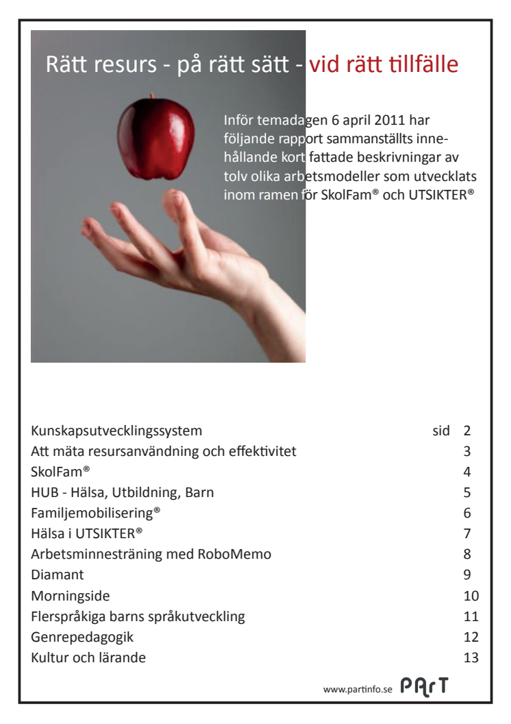 Rapport Arbetsmodeller