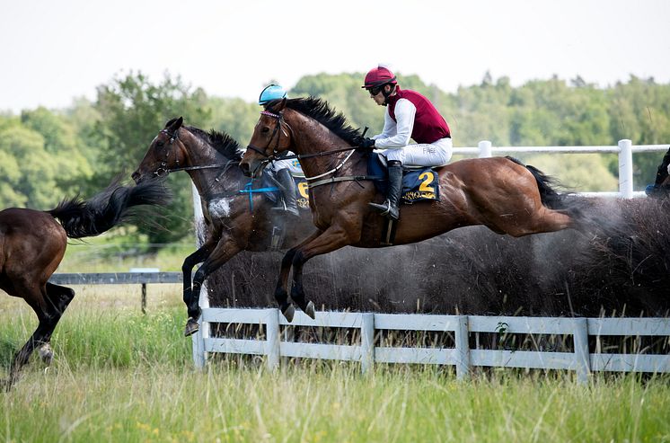 DSC_7885 Mutadaffeq Svenskt Grand National 2023