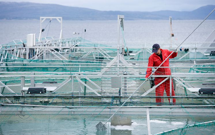 Cermaq Norway - settefiskanlegg