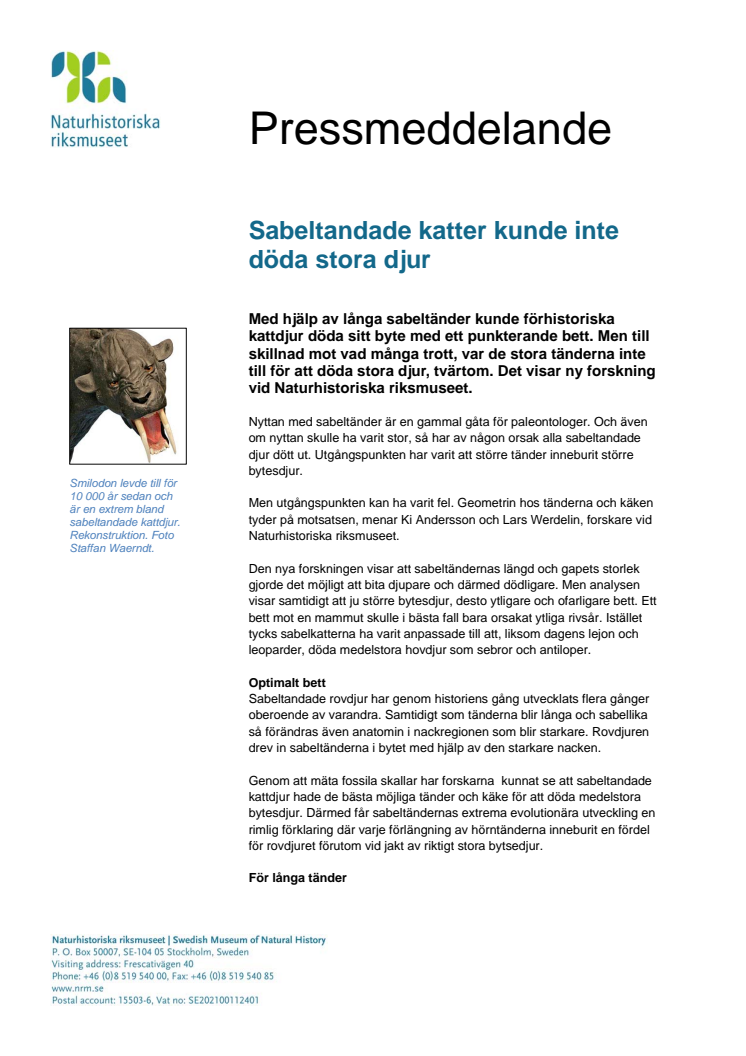 Sabeltandade katter kunde inte döda stora djur