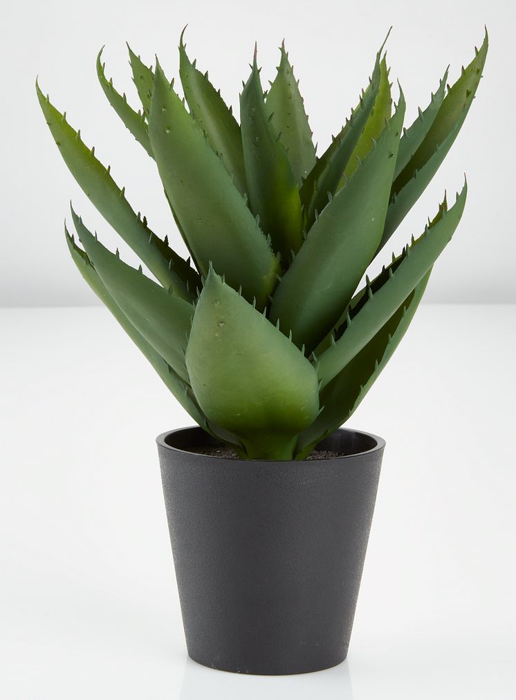 Kunstig plante STEINAR Ø25xH30cm m/potte (60 DKK)