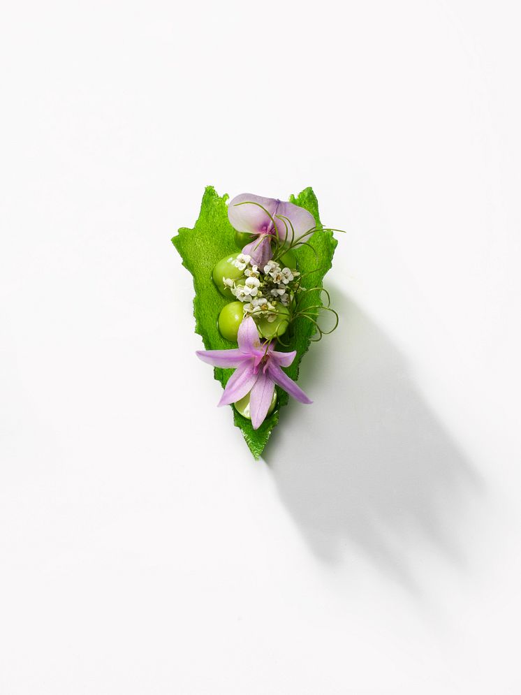 Bocuse D'or Europe 2020 Ärttartlett