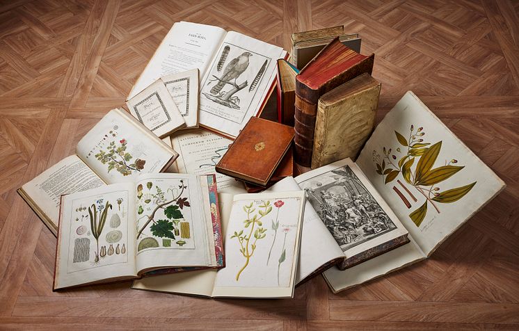 Selection – Olle Wallin's Botanical Library