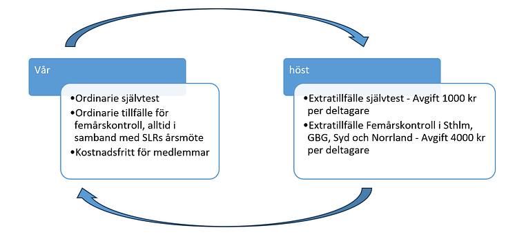 Skärmbild (555)