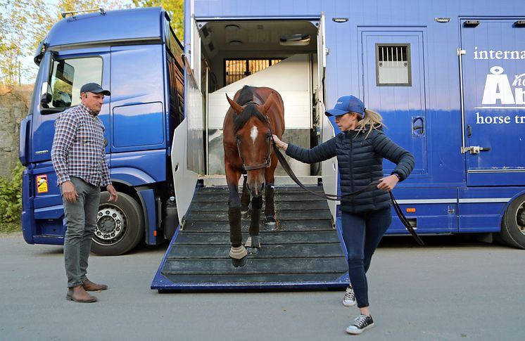 Go On Boy anländer till Solvalla