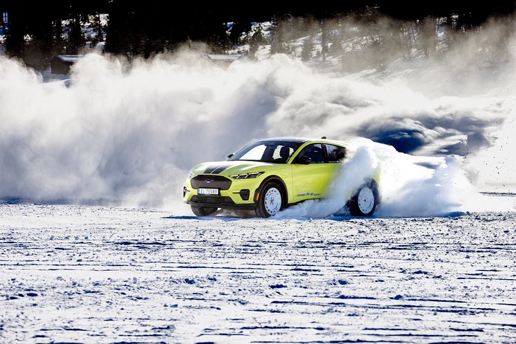 2024 Mustang Mach-E Rally Gol (4).jpg