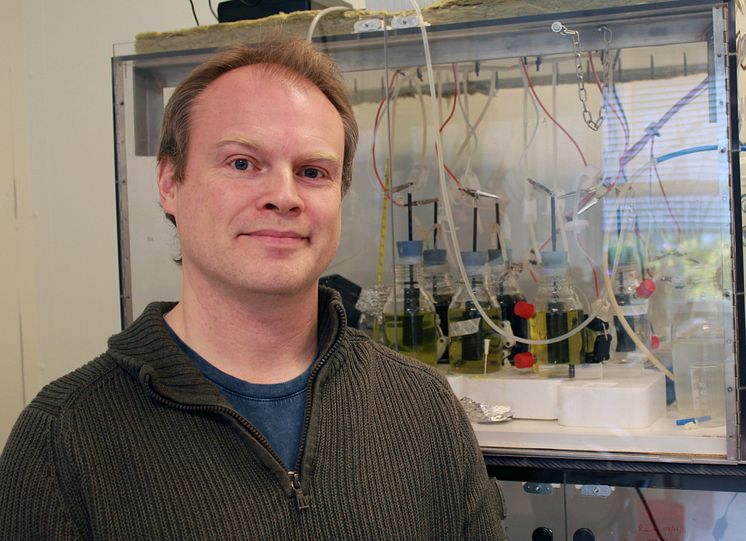 Magnus Sjöblom, forskare inom biokemisk processteknik