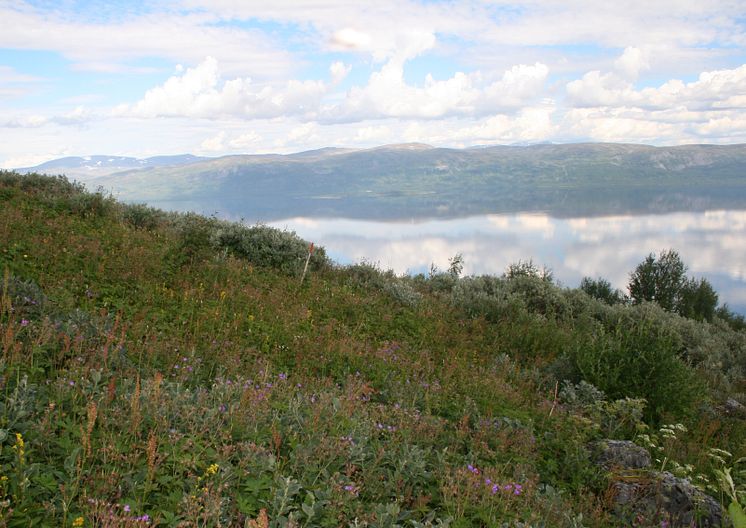 Nordiskt samarbete kring gemensam e-infrastruktur för biologisk mångfald