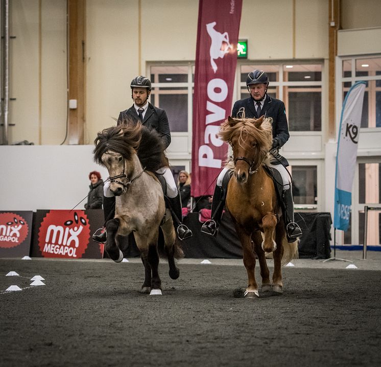 Sebastian Benje på Hosias från Engholm och Vignir Jonasson på Fengur  från Backome under hingstshowen.