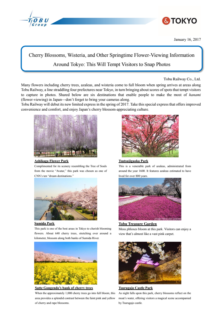 [ENGLISH] Cherry Blossoms, Wisteria, and Other Springtime Flower-Viewing Information