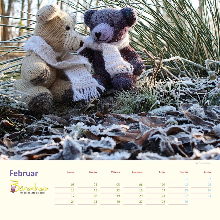Mit Bärenherz durch das Jahr 2020 - Der neue Bärenherz-Kalender 