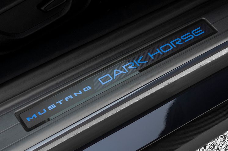 2024 FORD MUSTANG DARK HORSE (27)