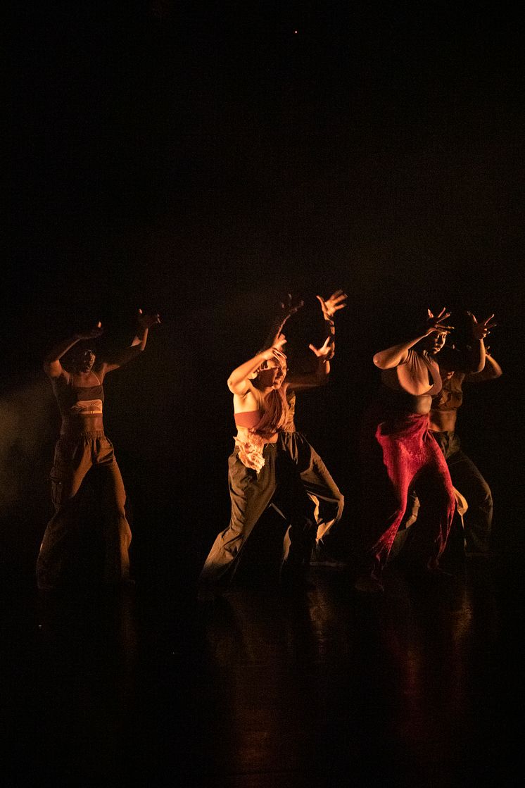 Company Nicolas Huchard - The barefoot diva