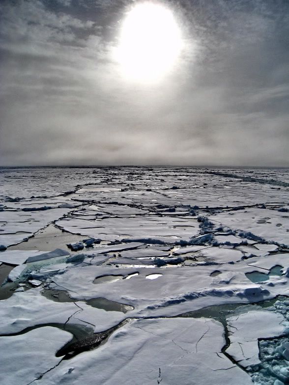 Arktis istäcke