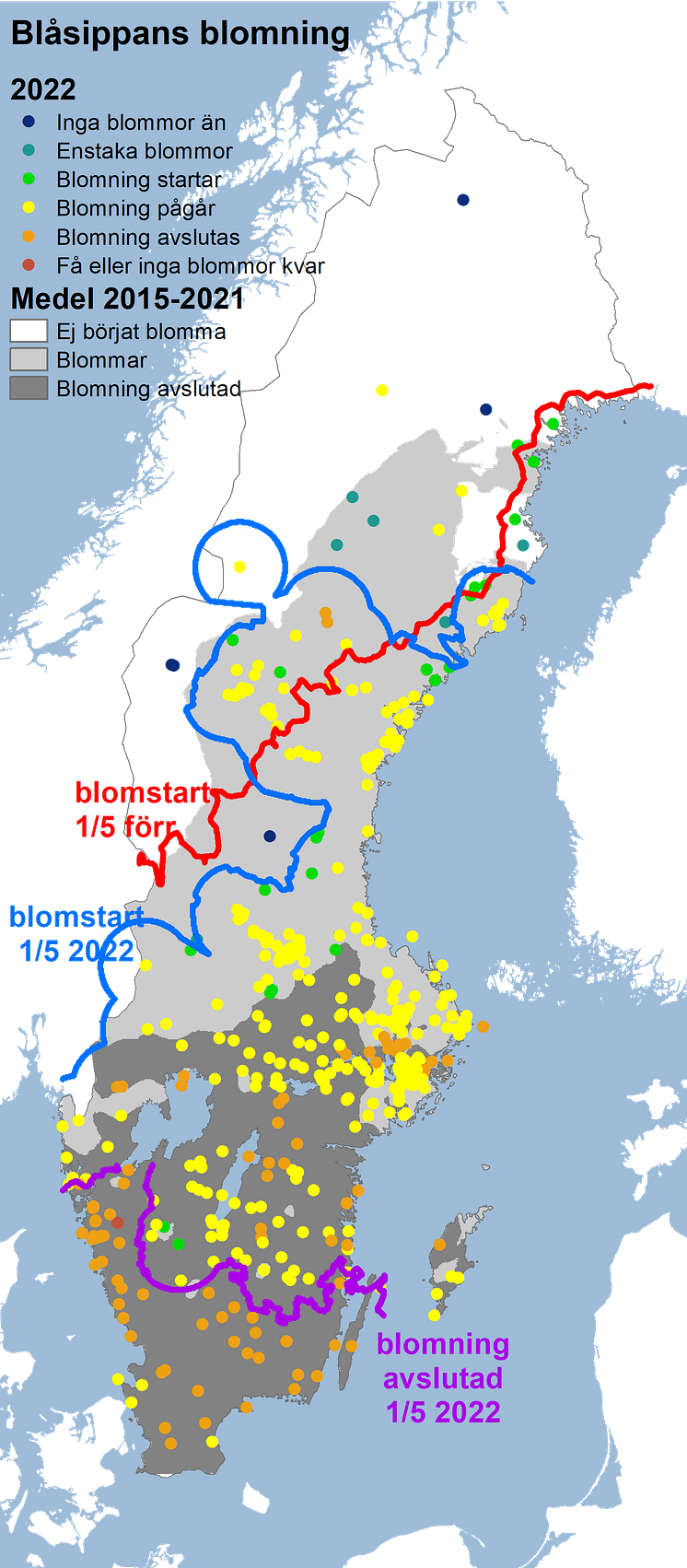 blå2022