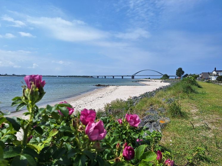 Fehmarnsundbrücke