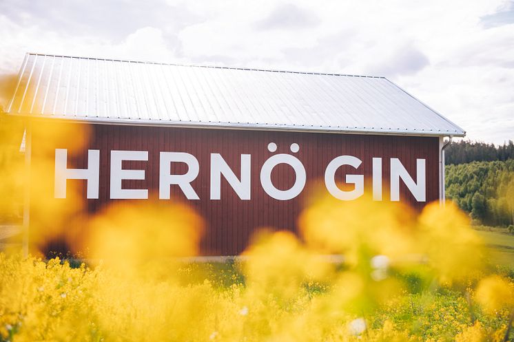 Hernö Gin_Lager_Ordbild_04.jpg