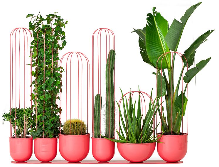 Cacti planteringskärl, design Anki Gneib