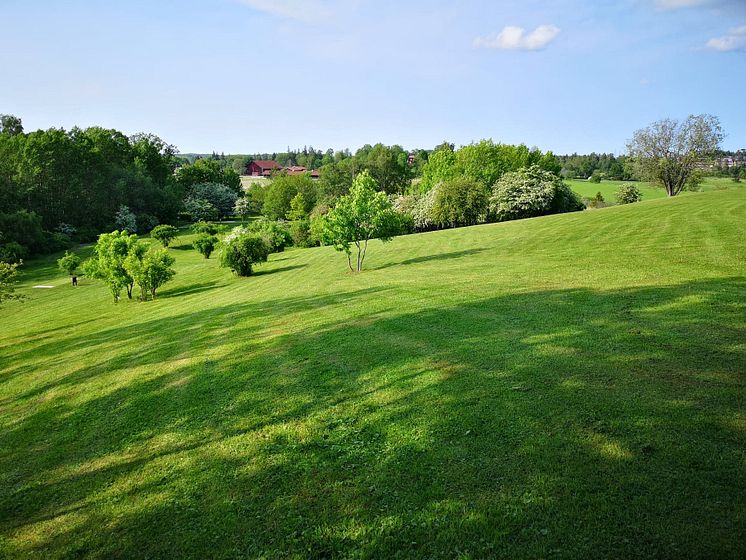 Sommar i Järva DiscGolfPark