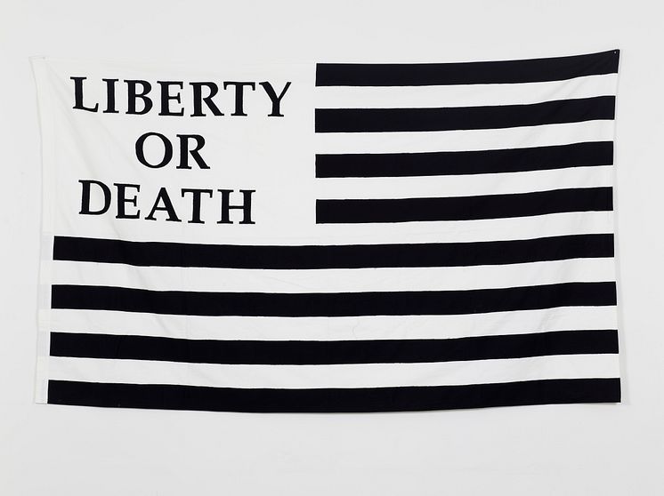 Gardar Eide Einarsson, Liberty or Death, 2006