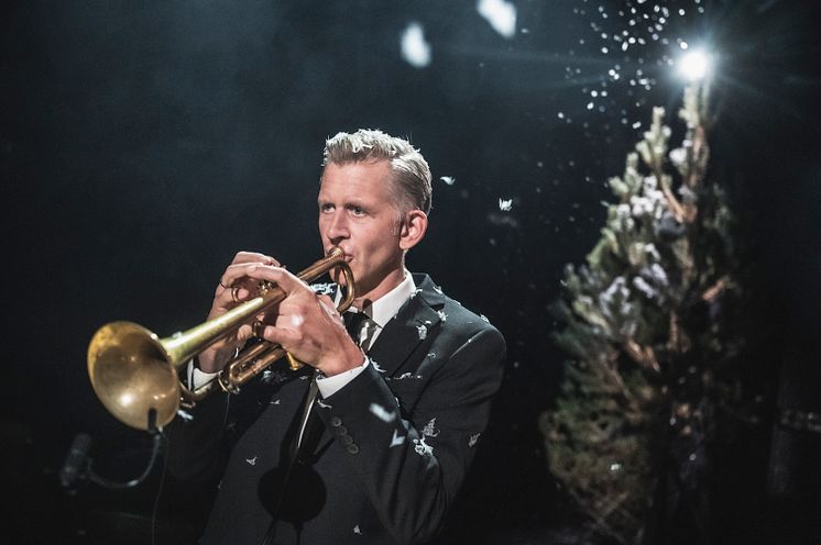 Framsyningsfoto I svarte skogen inne