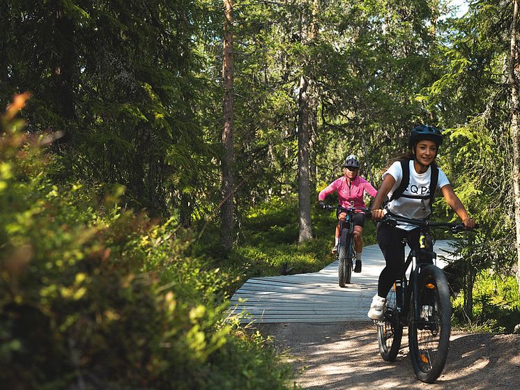 Cykling fjällen