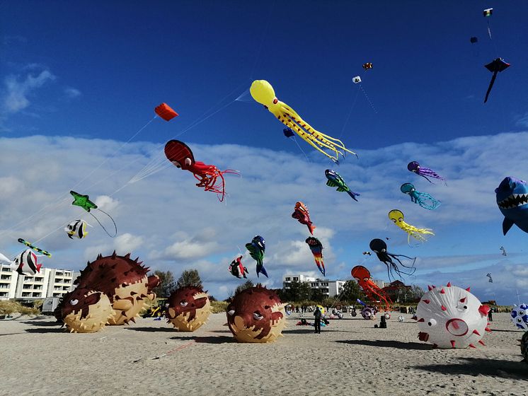 Drachenfest am Südstrand auf Fehmarn