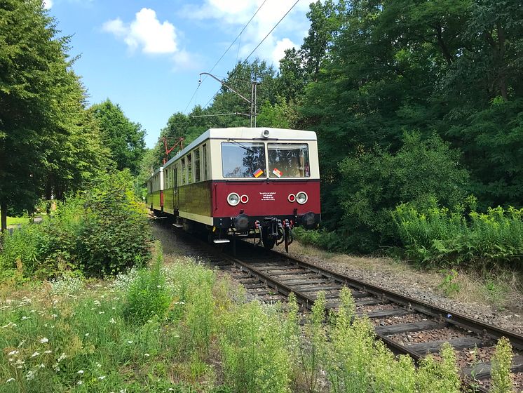 Buckower-Kleinbahn_TMB-Fotoarchiv_Steffen_Lehmann