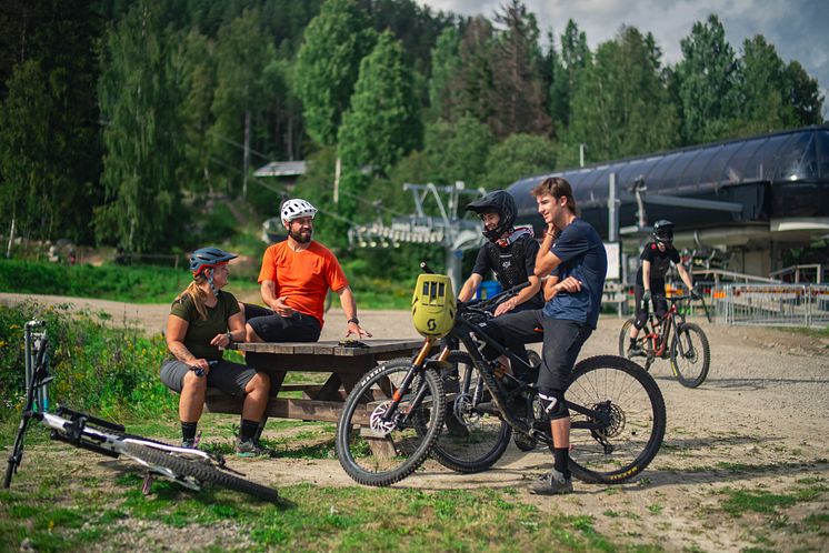 Cykla downhill mtb i Järvsö Bergscykel Park