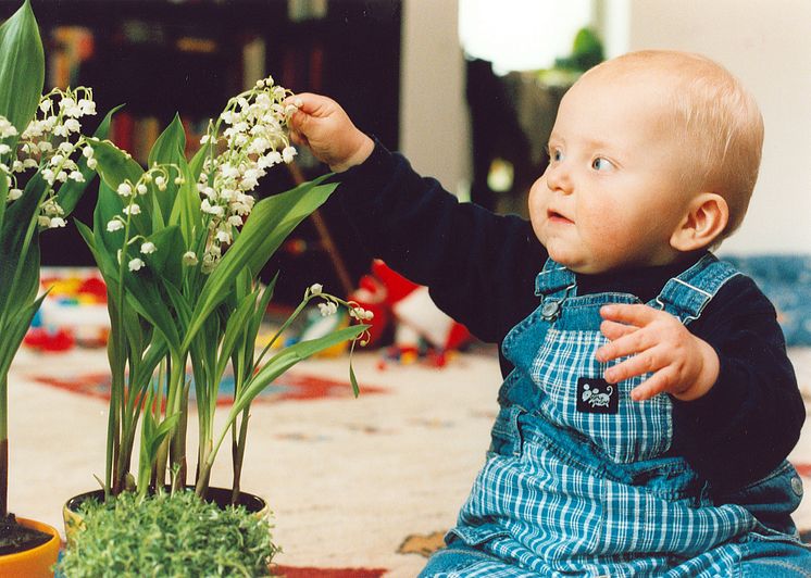 Baby mit Maiglöckchen