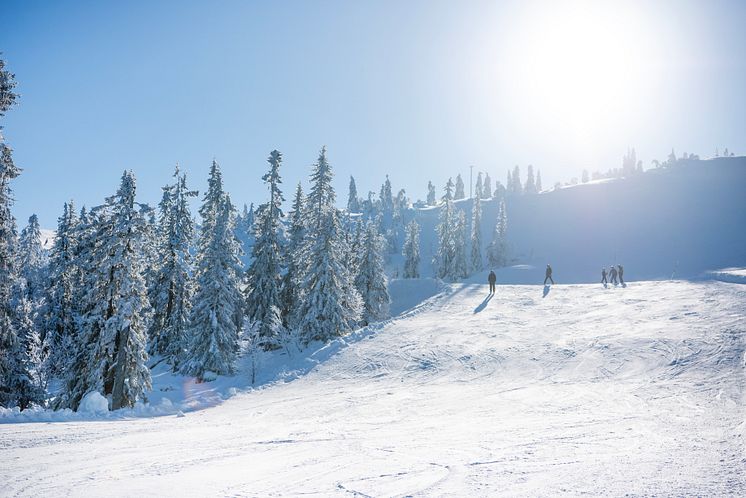 Stöten i Sälen - vackra vyer över fjället 2425