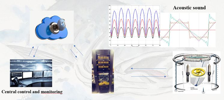 the technical structure of the acu lice system