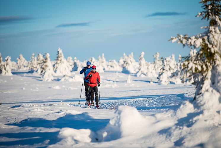 Fine langrennsløyper