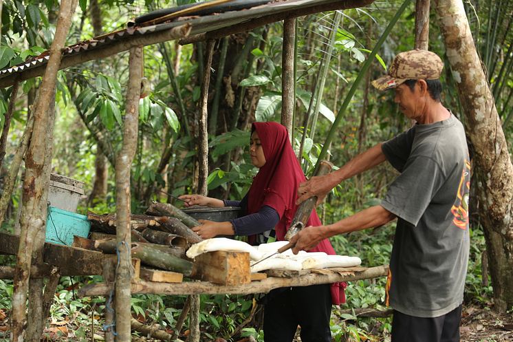 Sustainable Rubber Supply Chain_Continental_GIZ Canopy Indonesia_© GIZ_Canopy Indonesia.jpg