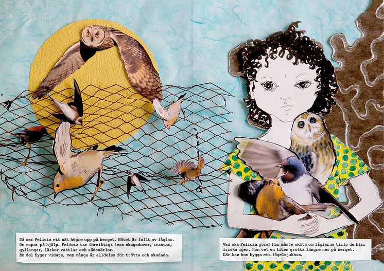 Ur "Felicia och fåglarna", 2015. Illustration: Christina Ramberg Nordenskiöld