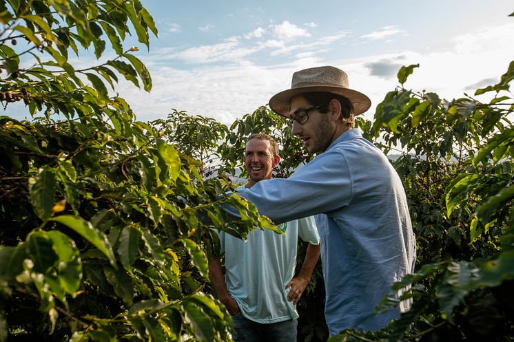 Kaffefarmer på sin kaffemark