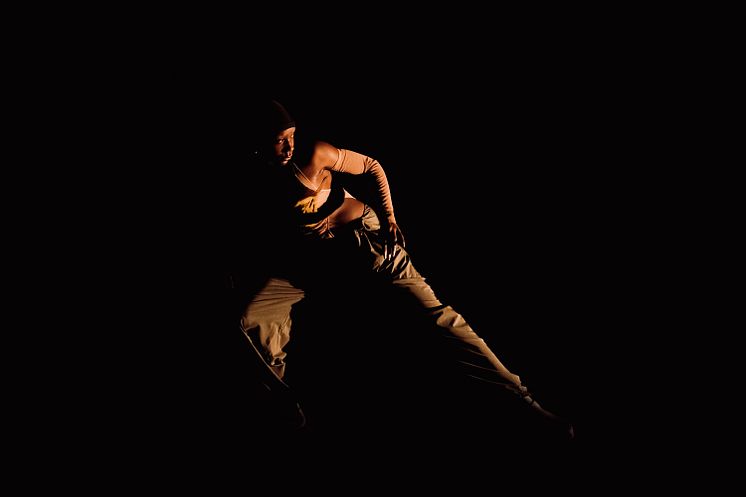 Company Nicolas Huchard - The barefoot diva
