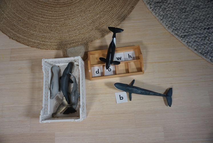 Schleich Figuren Meer_Tribu Box