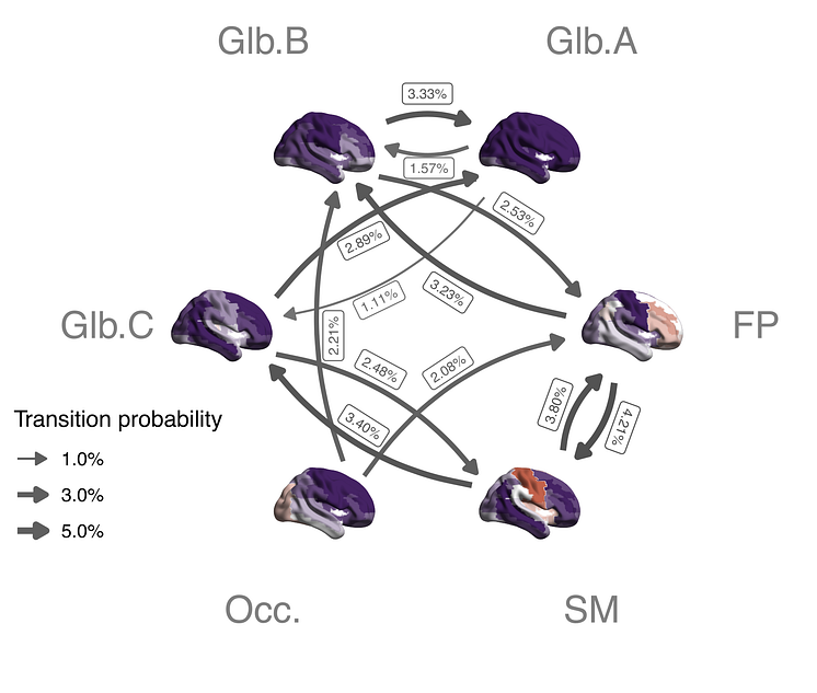 A typical pattern of transitions between the six brain states identified in the study