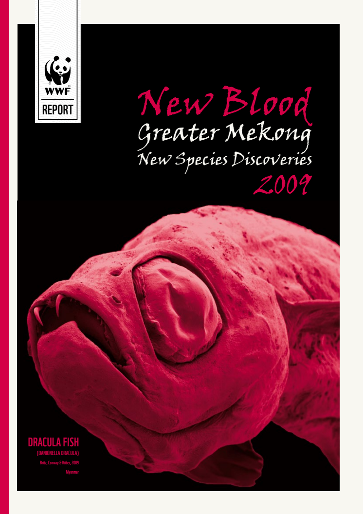 New Blood Greater Mekong New Species Discoveries 2009