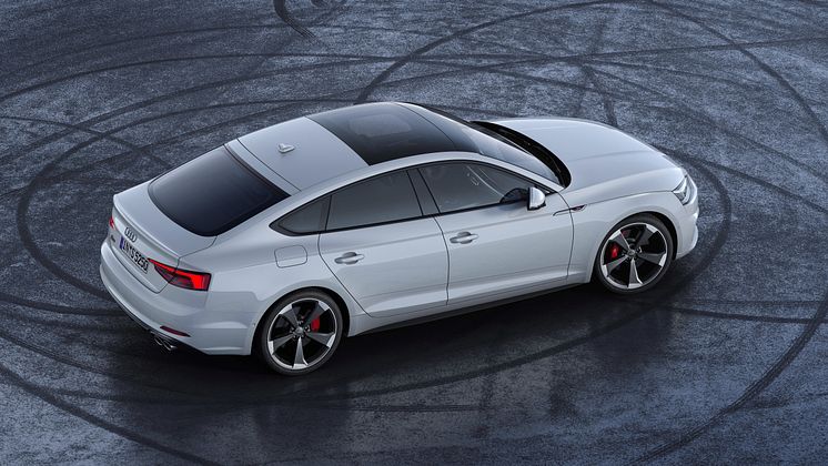 Audi S5 Sportback TDI (gletsjerhvid)