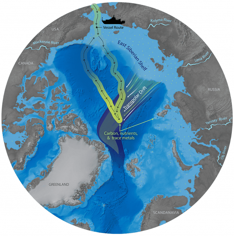 Expeditionsrutt och vattenströmmar i Arktiska havet.
