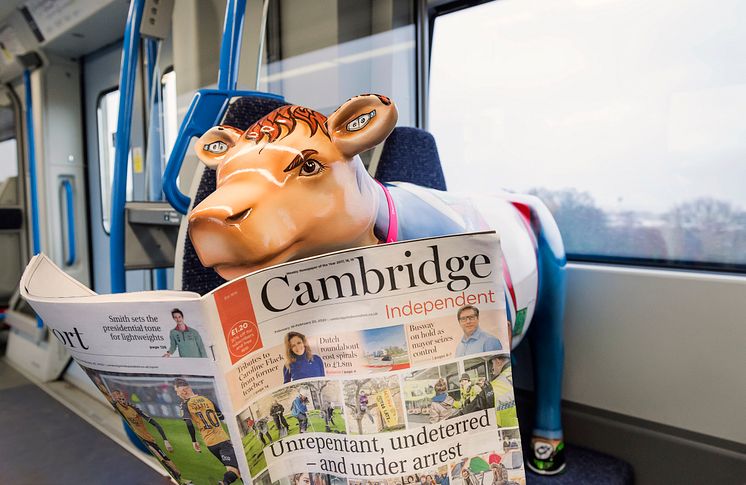 Cow-respondent travels on Thameslink