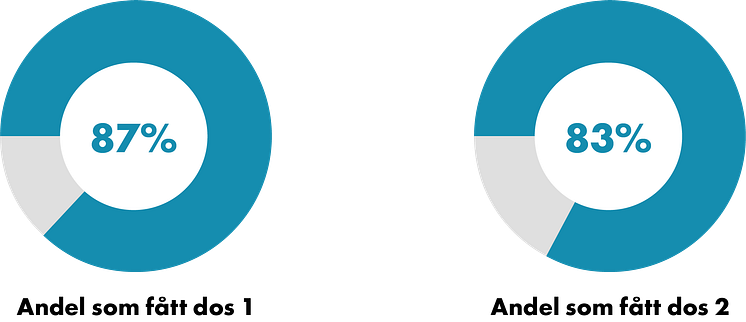 211022_Cirkel andel