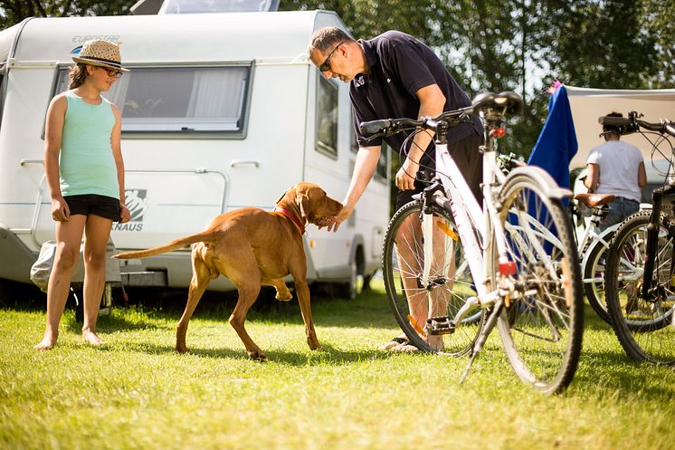 Campingurlaub auf Fehmarn