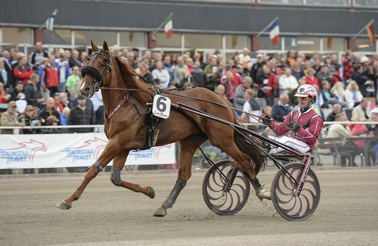 Radieux och Lutfi Kolgjini