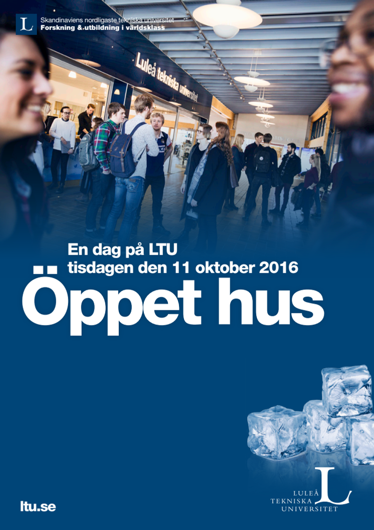 Program för öppet hus