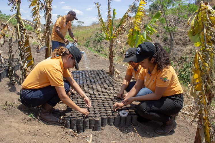 high-res-planting-the-seeds-before-watering-them-to-help-them-grow_Photo_ZeroMission.jpg