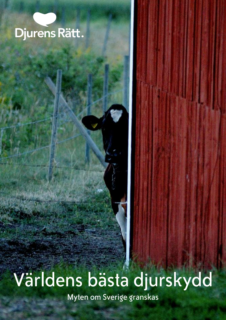 Världens bästa djurskydd - Myten om Sverige granskas 