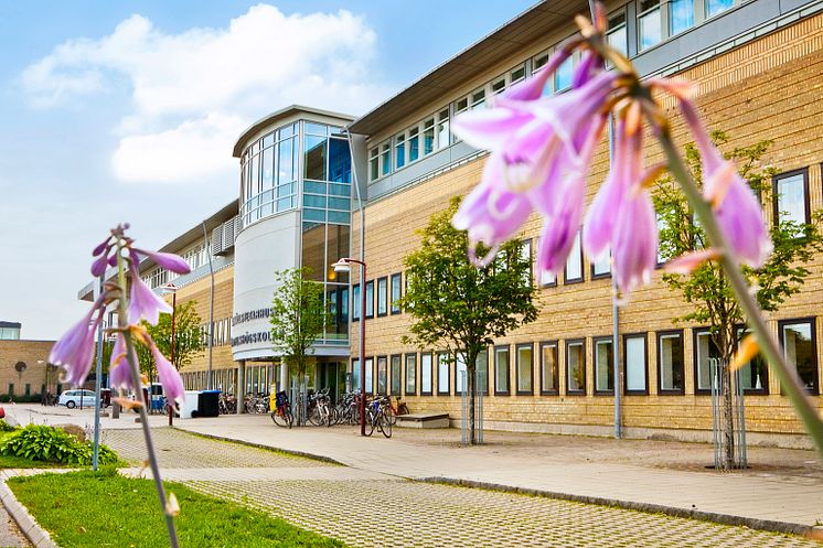 Handelshögskolan vid Umeå universitet.